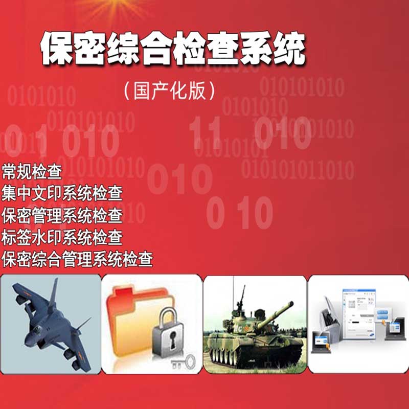实进智 保密综合检查系统(国产版)高清大图