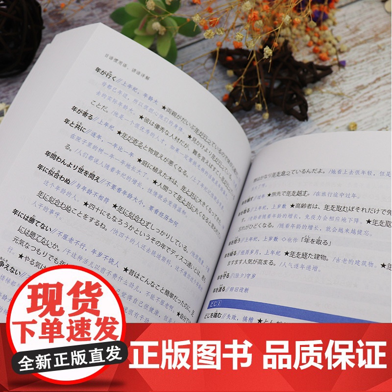 正版 日语惯用语、谚语详解 王锐著 日语惯用语词典 日语词典 外语教学与研究出版社 9787513506434高清大图