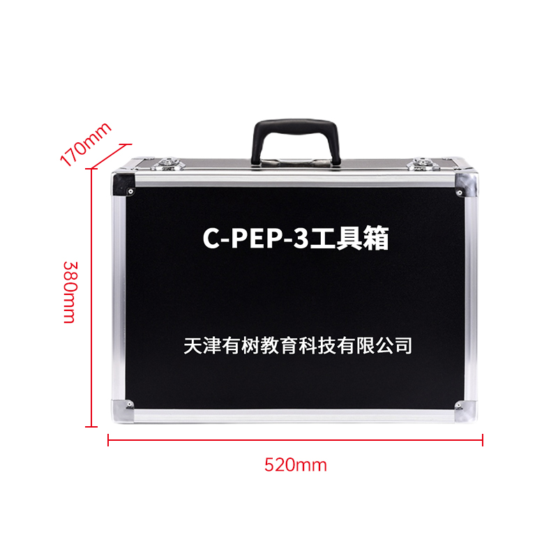 有树 YSXL-CPEP3 C-PEP-3自闭症孤独症量表儿童测试减压专业早教教具高清大图