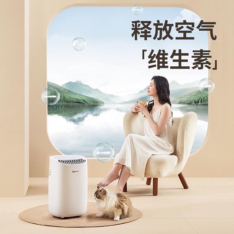 德业(Deye)除湿机/抽湿机DYD-B12A3 除湿量12升/天 家用轻音地下室干衣母婴除湿器干燥机空气净化