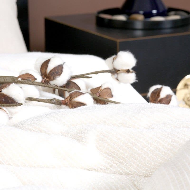 伊伊爱 BZ0BZF2100891 200*230cm猫生活 猫生活秋冬被 1.00 件/条 (计价单位:条) 白色图片