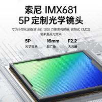 雷鸟RayNeo V3 Slim AI拍摄智能眼镜 蓝牙眼镜 镜架非平光镜 绒金(含充电盒)