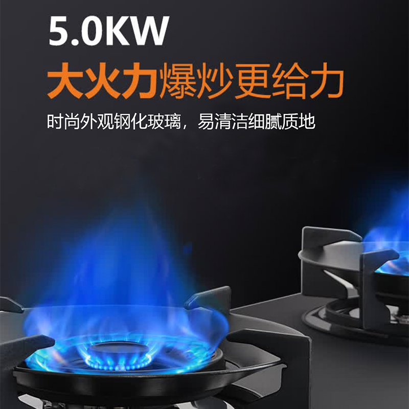 Fardior/法迪欧燃气灶JZT-2B302 台嵌两用天然气灶具5.0kW大火力家用燃气灶 一级能效高清大图