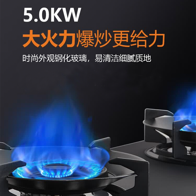 Fardior/法迪欧燃气灶JZT-2B302 台嵌两用天然气灶具5.0kW大火力家用燃气灶 一级能效