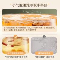 小熊(Bear)养生壶电热水壶小气泡精粹柔炖 316L不锈钢煮茶壶 YSH-E15Q2