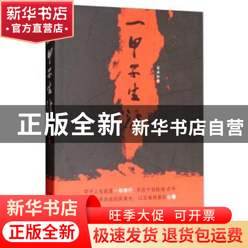 正版 一甲子生涯 袁录怀 太白文艺出版社 9787551311298 书籍高清大图