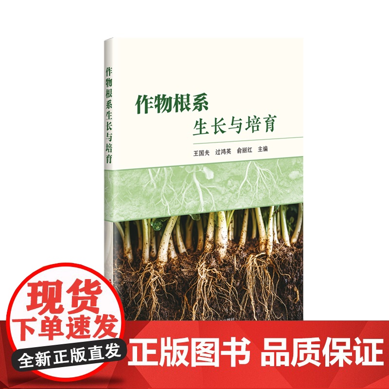 作物根系生长与培育 9787511673749 王国夫 过鸿英 俞丽红主编 中国农业科学技术出版社高清大图