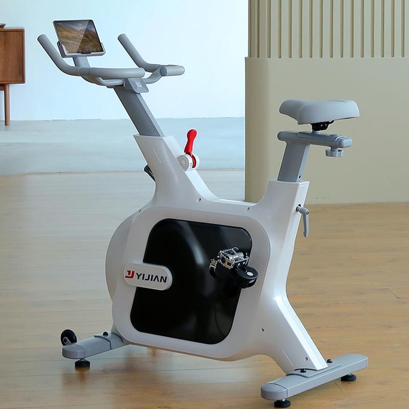 亿健动感单车家用款小型健身车减肥自行车脚踏车健身房专用运动d9