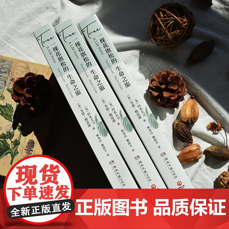 [央视网]一棵花旗松的生命之旅 聆听波澜壮阔的自然史诗 亲眼见证意识外围的生命奇迹 联合国教科文组织卡林加奖得主铃木大卫高清大图