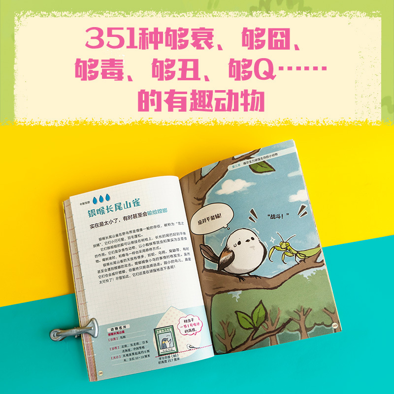 笑死人的进化(套装5册) [正版]7-14岁笑死人的进化(套装5册) 今泉忠明编著 204种身怀绝技的奇葩动物 让人目瞪