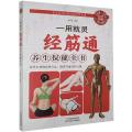 彩色图解:一用就灵：经筋通养生保健全书
