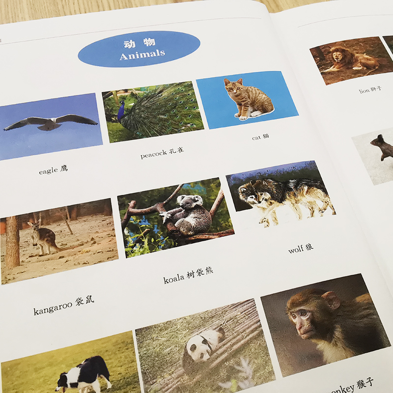 诺森英汉双解词典(全新版)中国9787557909901四川辞书出版社高清大图