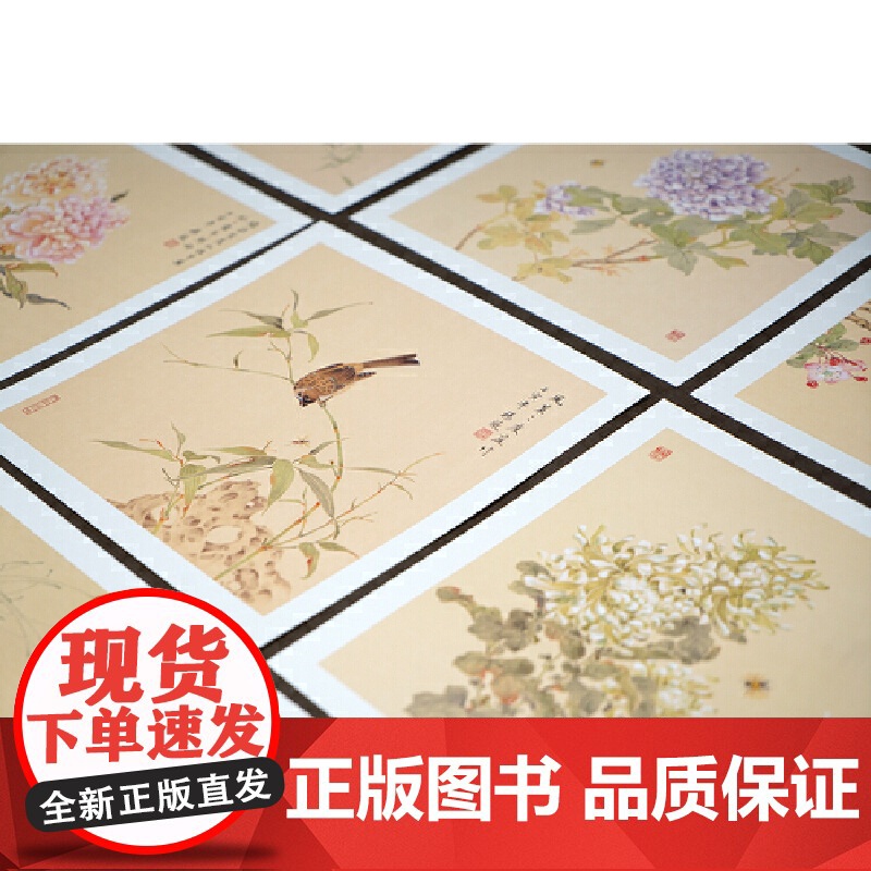 姹紫嫣红开遍:没骨花卉画片集 册页鉴赏临摹花鸟画教程画册底稿 恽寿平同类中国画花鸟画技法作品集附教学视频高清大图