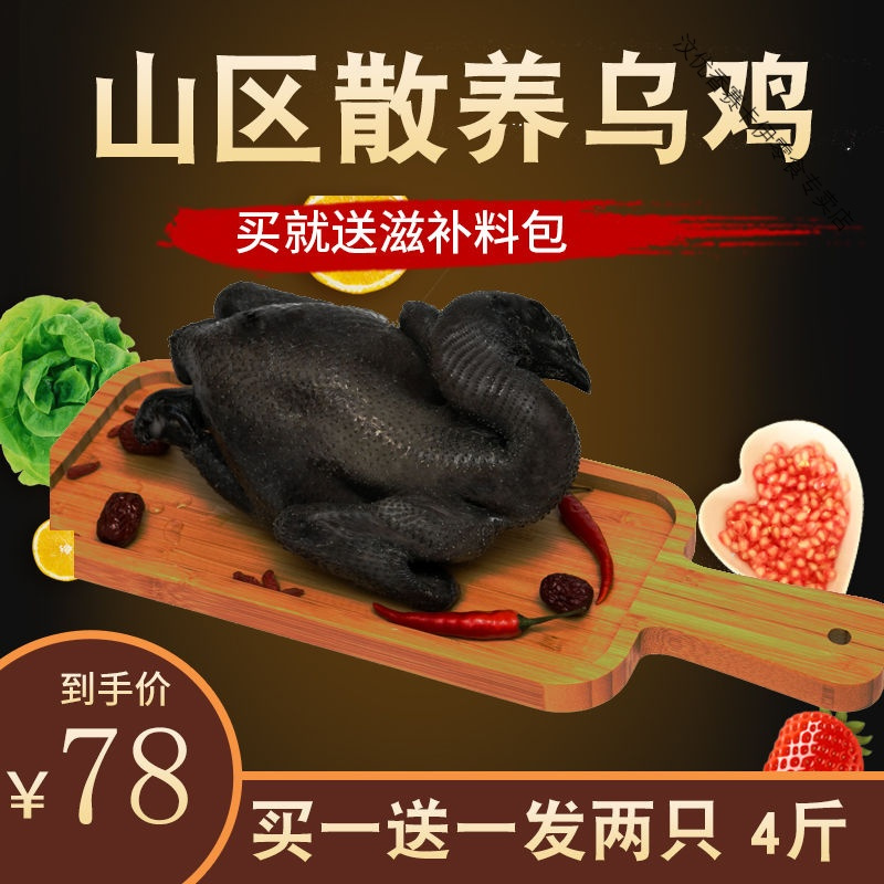 散养乌鸡 乌骨鸡现宰速冻新鲜鸡笨鸡土鸡白羽乌鸡滋补月子鸡 乌鸡一只(1000g)送料包