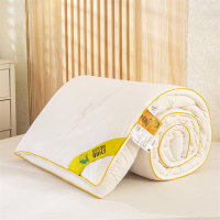 A类针织棉玉米纤维被子加厚保暖冬被春秋被四季单人学生宿舍家用