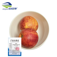 铂锜澳 白色陶瓷护边碗10个装/件 7寸-17.5cm
