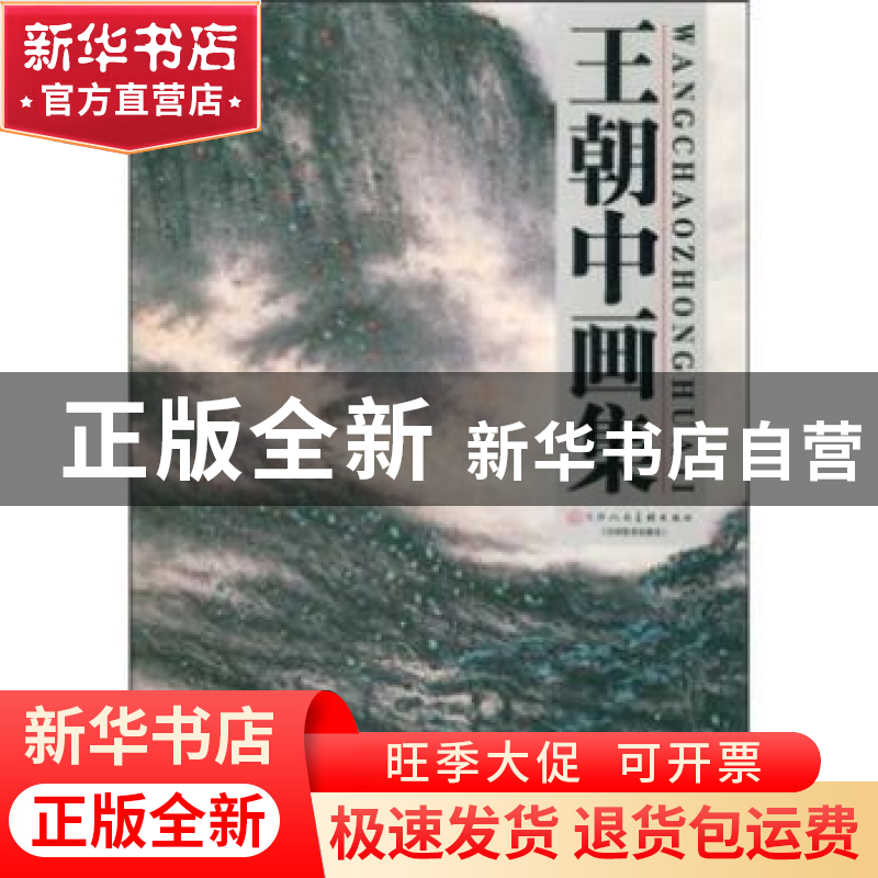 正版 王朝中画集 王朝中 天津人民美术出版社 9787530537947 书籍高清大图