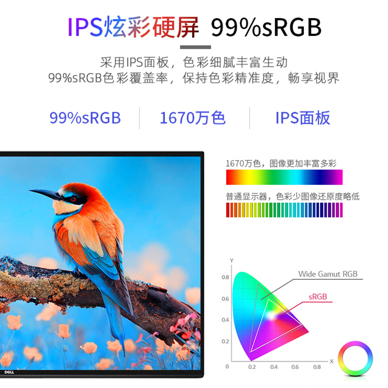 戴尔(DELL) 商用显示器P2421D 23.8英寸2K高清IPS广视角窄边框低蓝光99%sRGB设计影音绘图台机