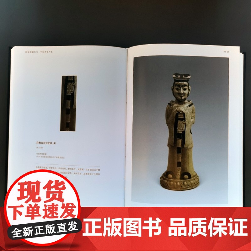 中国陶瓷大系:隋唐 国家馆藏珍宝上海人民美术出版社文物考古 收藏鉴赏高清大图