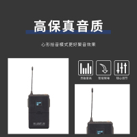 润普(Runpu)会议室礼堂报告厅直播/演讲/智慧教育真分集专业无线一拖八领夹式麦克风RP-WH9008L