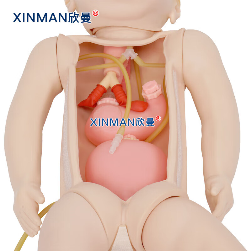 欣曼科教 高级婴幼儿全身静脉穿刺训练模型 婴儿护理模型XM-PD513高清大图