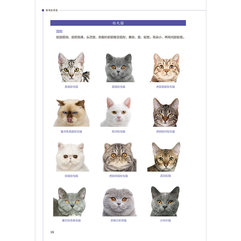 正版新书]猫咪轻图鉴---轻图鉴系列刘锐 主编9787571333522高清大图