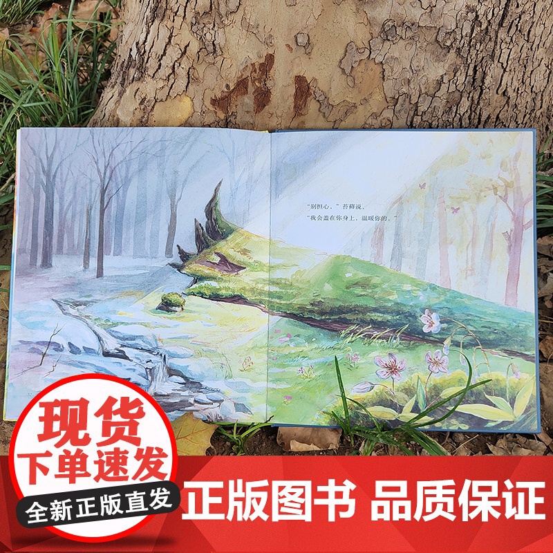 苔藓和大树高清大图