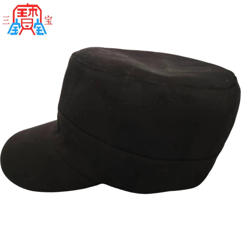 三宝 工作帽 LS-GZ01 顶