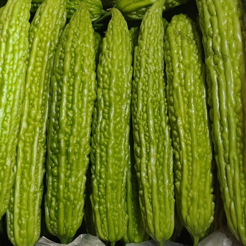 生鲜>时蔬蛋类>茄果瓜类>湛航>湛航现摘现发广东新鲜苦瓜本地农家时令