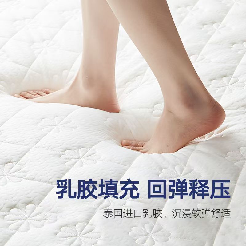 莘爱 1*1.9米床垫 XA038 床高清大图