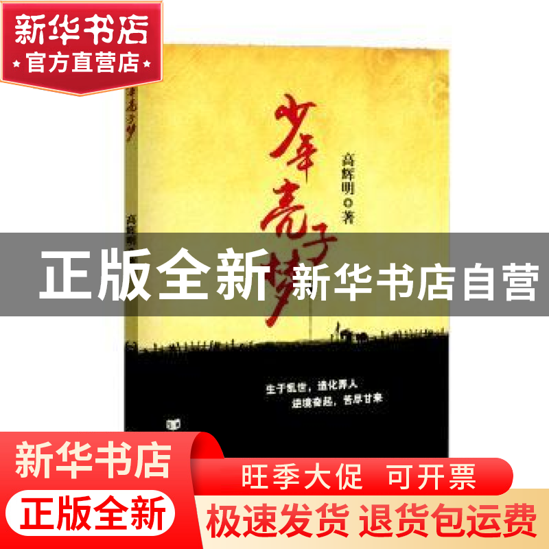 正版 少年亮子梦 高辉明著 中国言实出版社 9787517117490 书籍高清大图