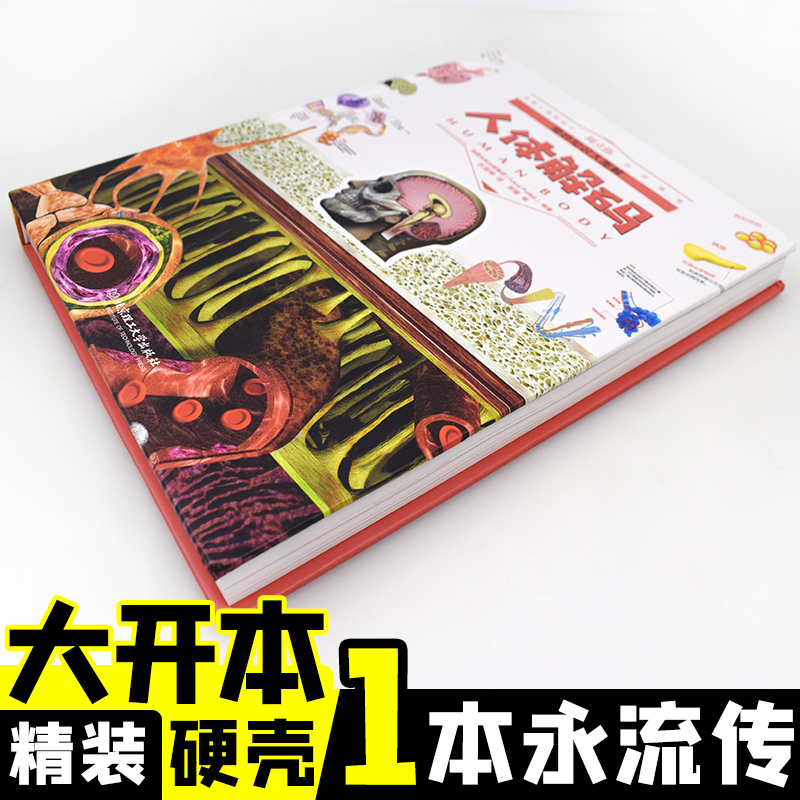 [醉染正版]奇趣知识大图解系列共6册百科全书儿童6-12岁青少年奇妙知识科学书科普书籍百科知识大全书少儿读物科普类书籍儿高清大图