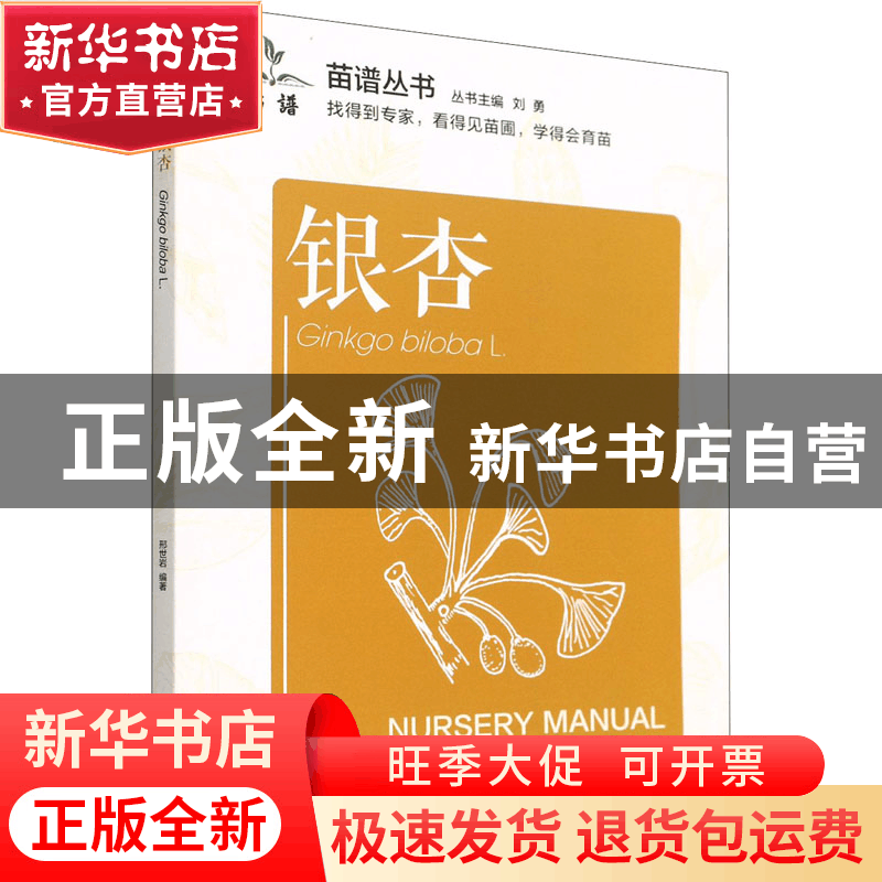 正版 银杏 邢世岩编著 中国林业出版社 9787521915136 书籍图片