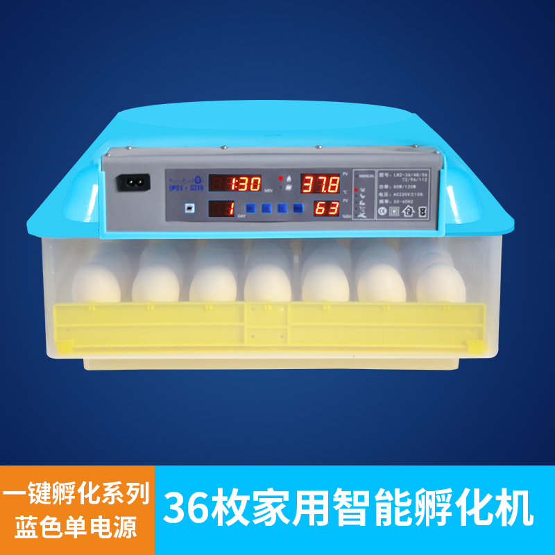 阿斯卡利ascari孵小鸡的孵化器泡沫箱机器家用全自动小型卵化器鸡蛋