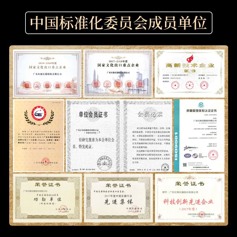红棉(Kapok)小提琴成人初学者儿童手工大学生专业级演奏V235 1/2[身高135cm以上适用]
