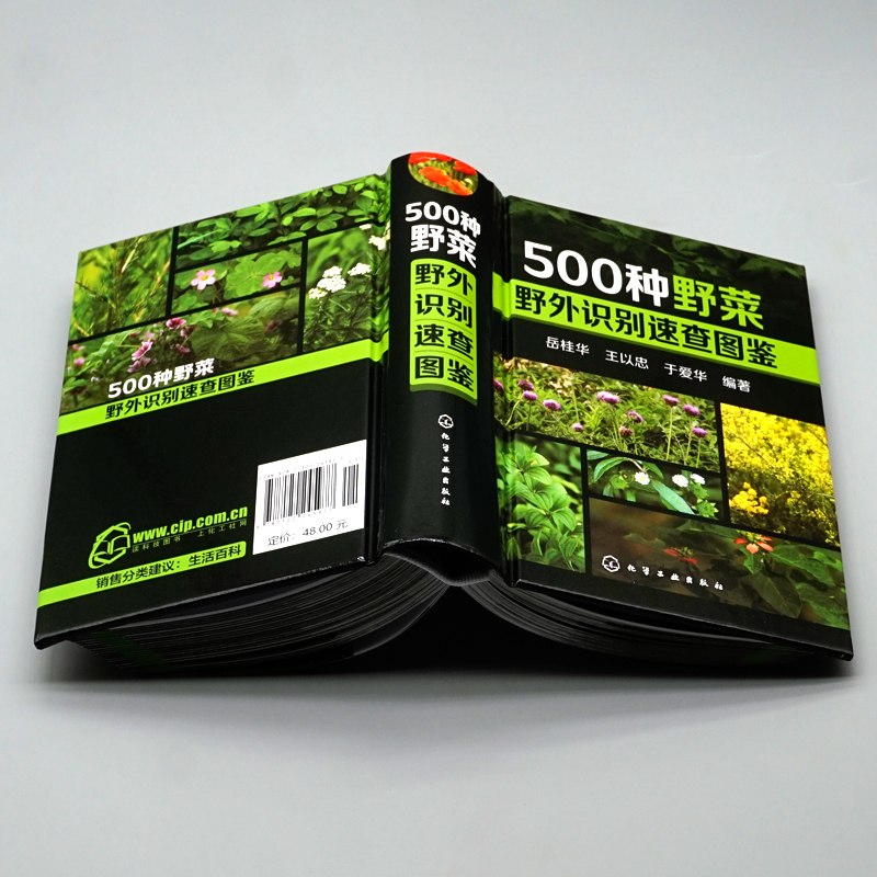 [醉染正版]500种野菜野外识别速查图鉴 生活百科书籍 野生植物花草识别图解书籍 认识身边常见植物随身掌中宝图书籍
