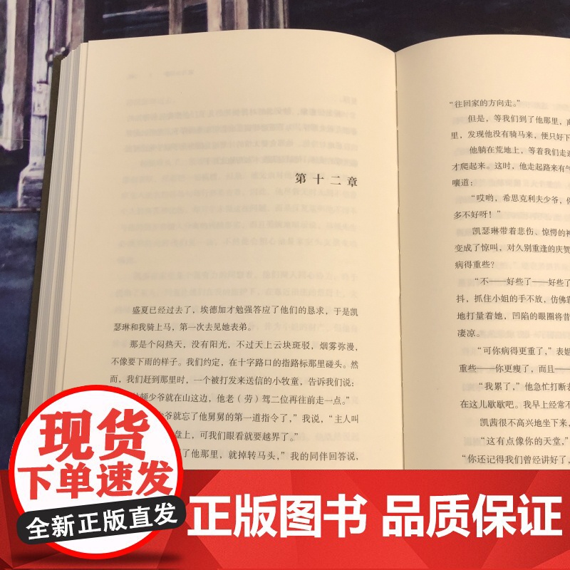 呼啸山庄正版珍藏版 文学名著书籍 外国现当代文学名家作品精选文学小说世界名著全集书排行榜人民文学出版社孙致礼后浪正版高清大图