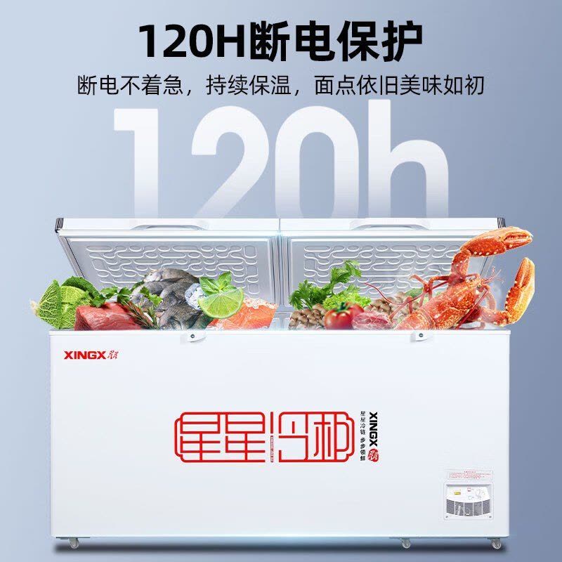 星星(XINGX) 518升商用大冷柜 家商两用 大冷冻力冰柜 断电保护 冷藏冷冻转换柜 BD/BC-528GE图片