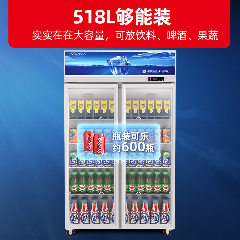 星星(XINGX) 518 升 LSC-518Y 双门冷藏展示柜 冷藏冰柜大容量 玻璃门立式饮料柜金色高清大图