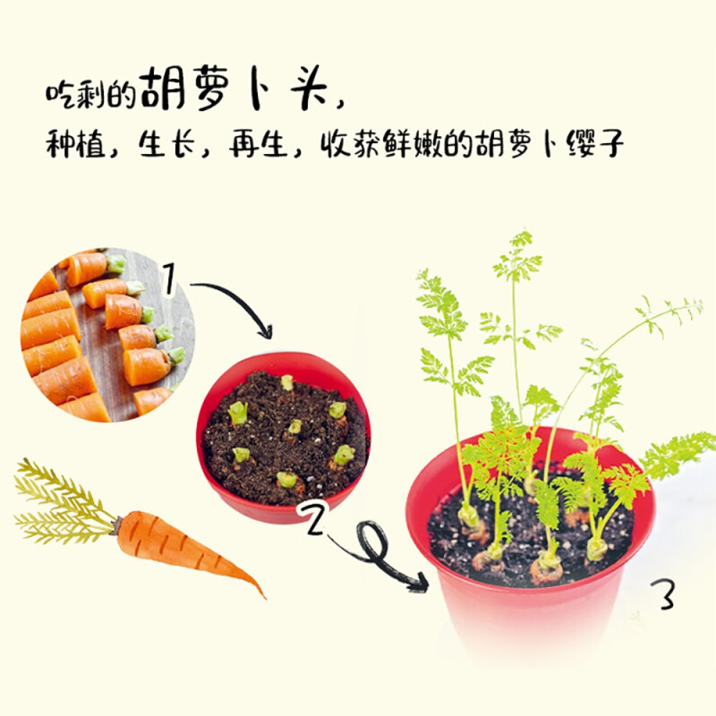 [醉染正版]零浪费种菜 厨余变菜园 厨房里的再生长计划 种菜养花园艺生活阳台菜园书 新手种菜教程指导指南书籍 蔬菜种植书高清大图