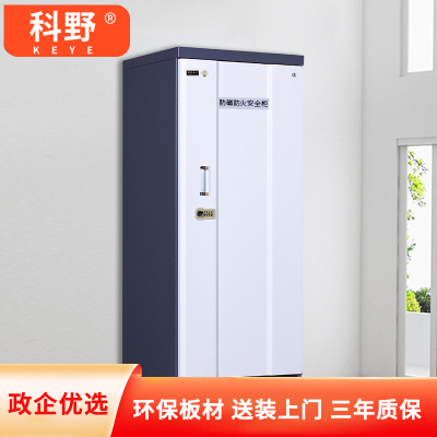 科野 防磁柜CD光盘柜磁盘柜U盘柜信息安全柜储存柜 防磁柜六抽