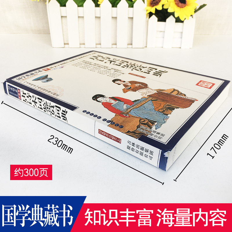 唐诗宋词鉴赏词典 [正版] 唐诗宋词鉴赏词典 文白对照 图文版 原文注释译文赏析 用文字和图片诠释华夏辉煌历史文明