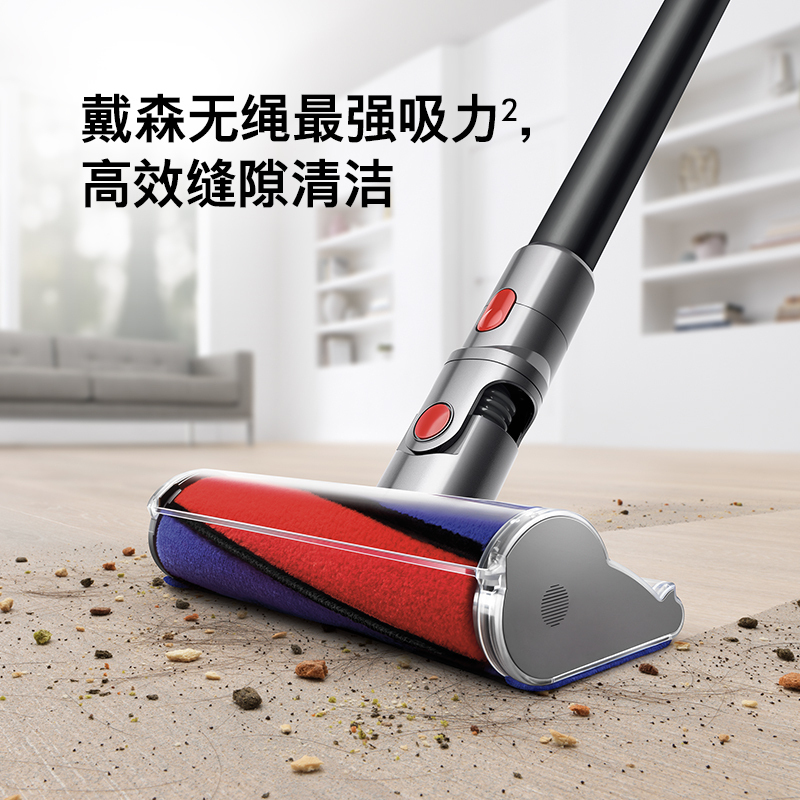 戴森(Dyson) 吸尘器 V11 Complete 黑色限量版 扫地机