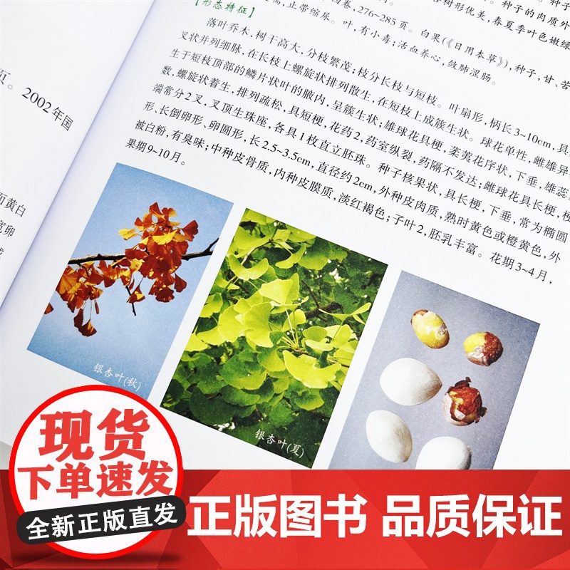 药食同源中药鉴别图典 药食同源中药解析 药材和原植物识别特征 药食同源中药基源鉴别品种及实际应用 中医中药食品学等专业参高清大图
