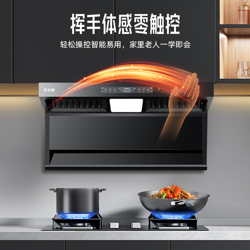 志高(CHIGO)F817+F216A顶侧双吸式自动清洗家用双电机抽烟机燃气灶具烟灶套餐(液化气)