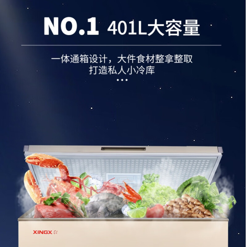 星星(XINGX)BD/BC-401A商用冰柜401升大容量卧式冷藏冷冻单温转换冷柜深冷速冻商用保鲜设备 顶开门
