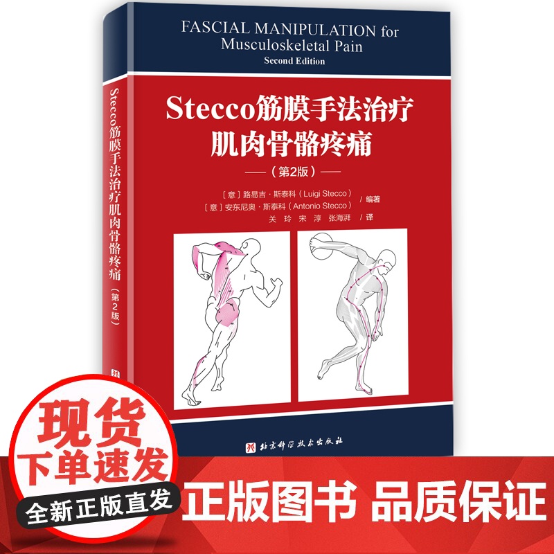 Stecco筋膜手法治疗肌肉骨骼疼痛 第2版 筋膜领域意大利学派领军人物Luigi Stecco 解剖列车译者关玲教授高清大图
