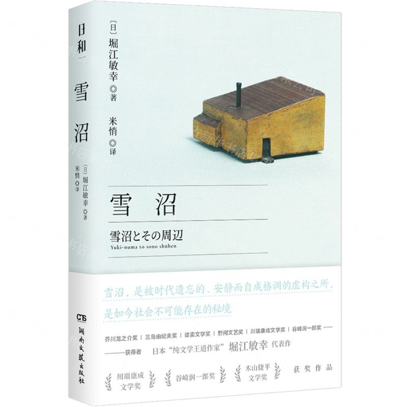 [N]雪沼-9787572603785高清大图