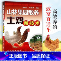 【正版】山林果园散养土鸡新技术 养鸡技术书及用药散养鸡饲料手册鸡病鉴别诊断图谱书籍大全蛋鸡肉鸡高效养殖配方教程土鸡散土