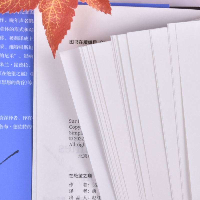 [正版]共2册 寻觅意义+在绝望之巅 复旦大学哲学教授王德峰的书籍“二十世纪的尼采”、现代欧洲哲学家 E.M.齐奥朗中高清大图